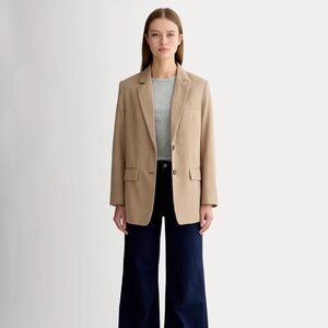 Everlane the Oversized Blazer in Ash Brown